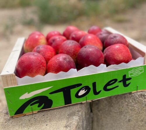 Nectarinas de pulpa blanca, dulce y jugosa