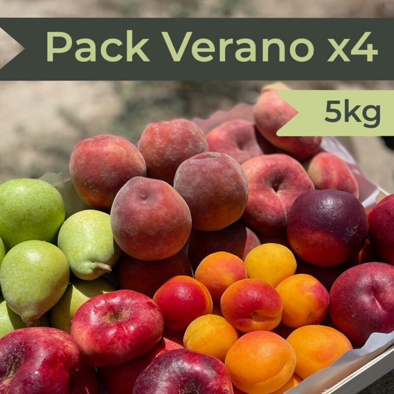 Fruta de Verano x4